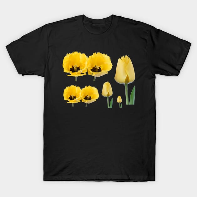 Tulipa  &#39;Crystal Star&#39;  Fringed Tulip T-Shirt by chrisburrows